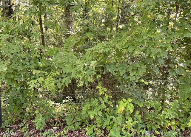 Property at 0 Madeline Ln, Rogersville, TN 37857