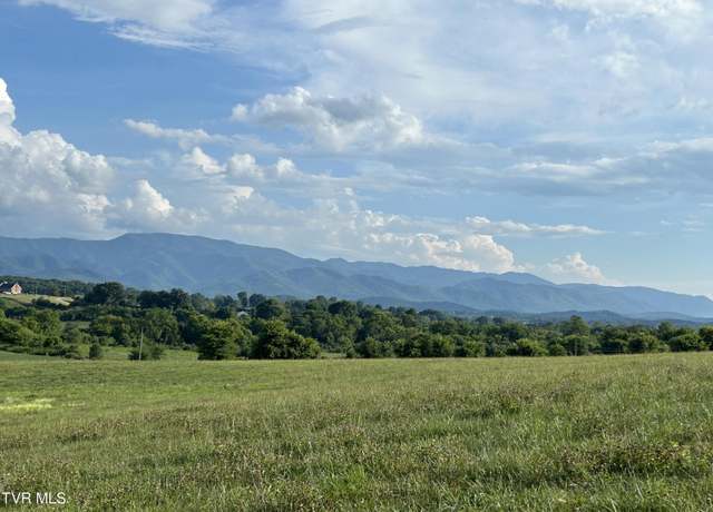 Property at 150 Lester Snapp Lot 2 - 10 Acres Rd, Limestone, TN 37681