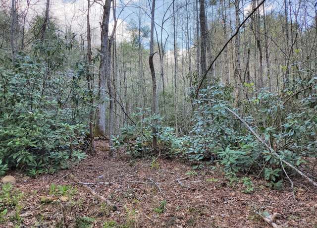 Property at 00 Hill St, Butler, TN 37640