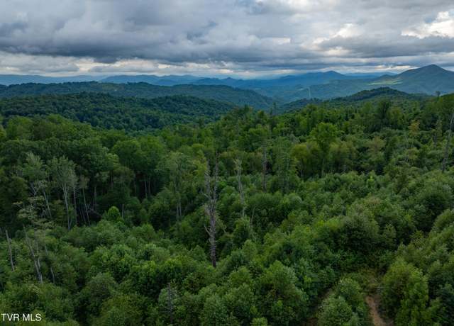 Property at Tbd Walnut Mountain Rd Rd, Roan Mountain, TN 37687