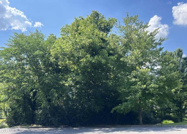 Property at Lot 21 Ledges Dr, Kingsport, TN 37664