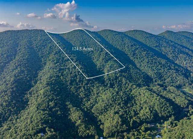 Property at Tbd Mendota Rd, Mendota, VA 24270