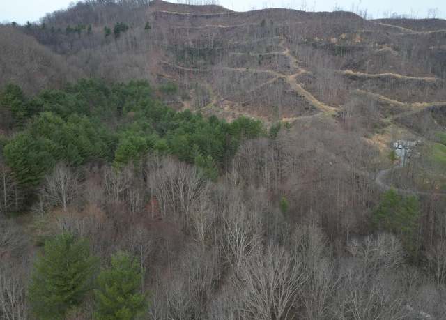 Property at Tbd Orby Cantrell Hwy, Pound, VA 24279