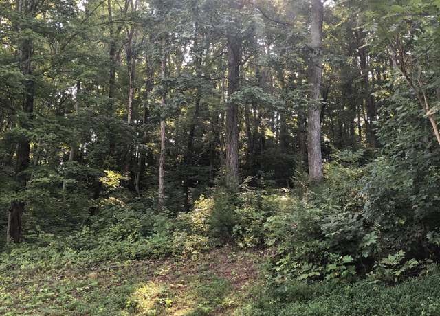 Property at Lot 43 Chimney Top Ln, Chuckey, TN 37641