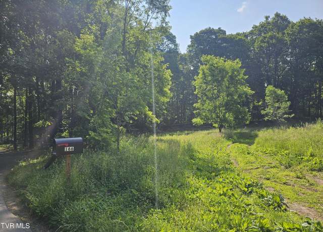 Property at 166 Dyer Rd, Roan Mountain, TN 37687