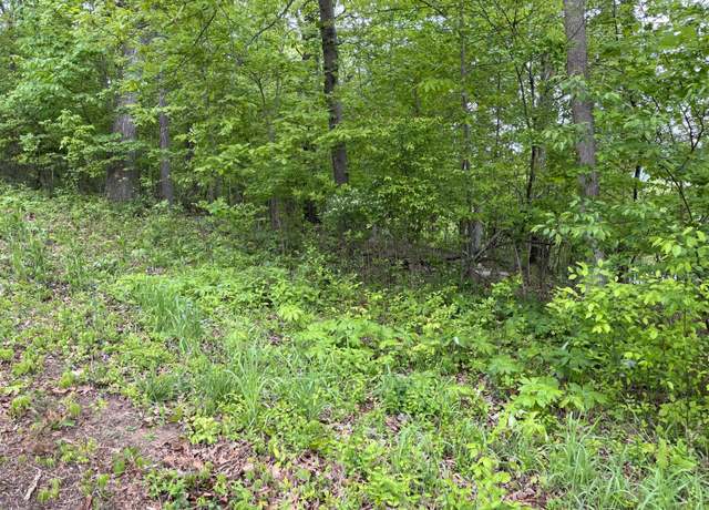 Property at Tbd Lone Oak Dr, Kingsport, TN 37663