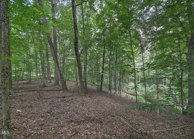 Property at Tract 1l Payne Ridge Rd, Church Hill, TN 37642