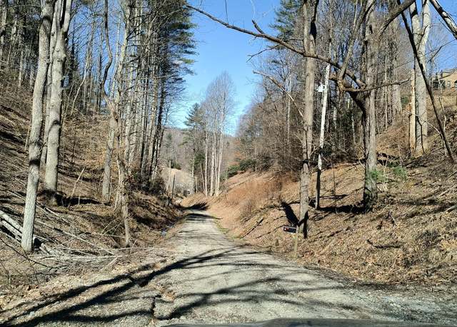 Property at 841 Green Rd, Butler, TN 37640