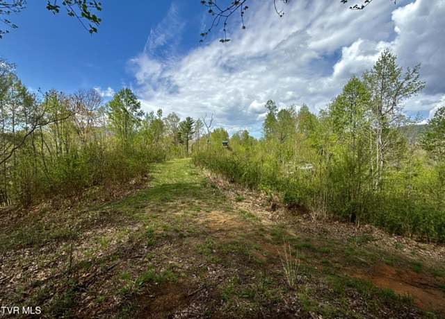 Property at 19/Ac Tbd Edith Gouge Rd, Unicoi, TN 37692