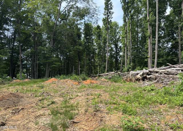 Property at Tbd Buffalo Rd, Johnson City, TN 37604