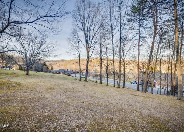 Property at Tbd Alexander Ave, Church Hill, TN 37642