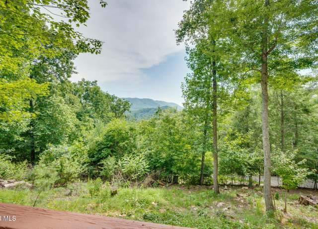 Property at Tbd Tank Rd, Butler, TN 37640