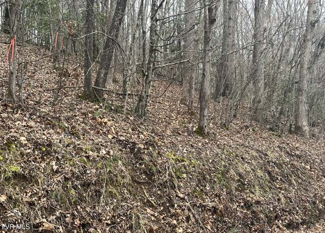 Property at Tbd N Dugger Rd, Butler, TN 37640