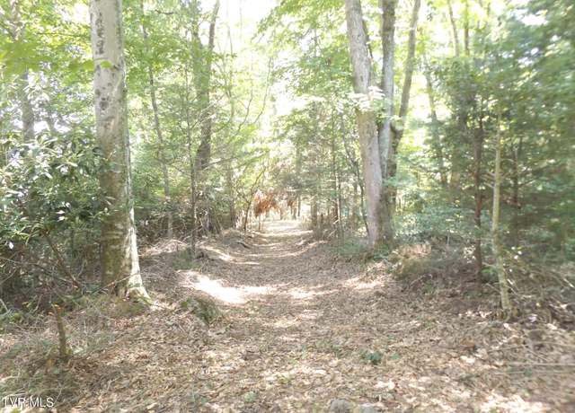 Property at Tbd Gunsmoke Hollow Dr, Elizabethton, TN 37643