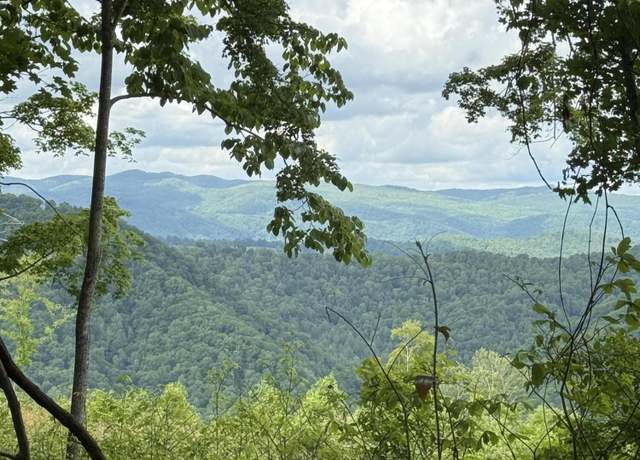 Property at 00 Heavens View (118 Acres) Ln, Gate City, VA 24251