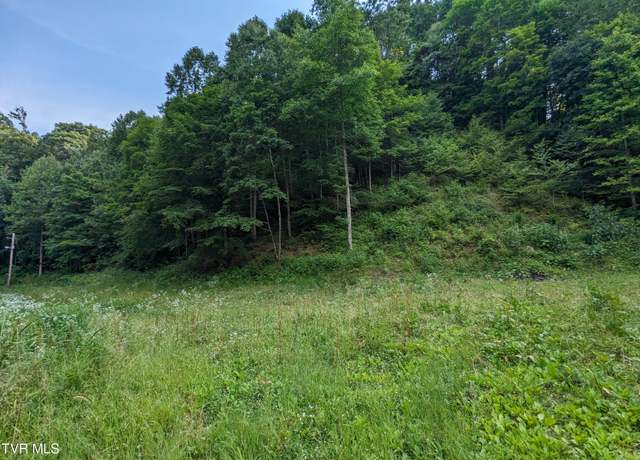 Property at Tbd New Hurland Church Rd, Hiltons, VA 24258