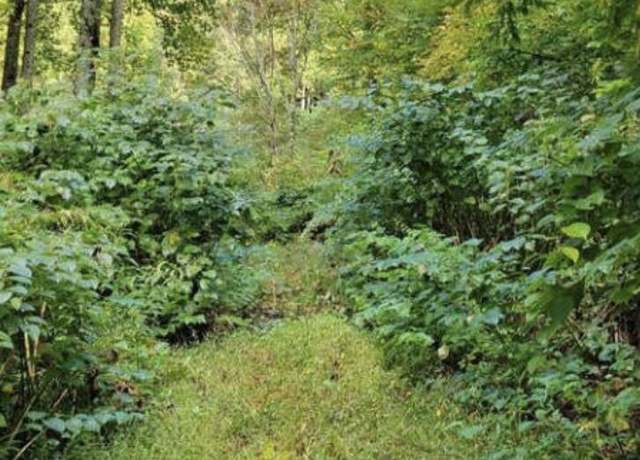 Property at Tbd Whitehead Hollow Rd, Roan Mountain, TN 37687