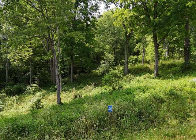 Property at Tr 40 Cowan Town Rd, Butler, TN 37640