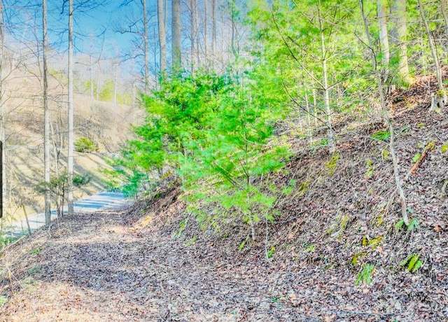 Property at Lot 18 Horseshoe Cove Dr/mistyhollow Dr, Butler, TN 37640