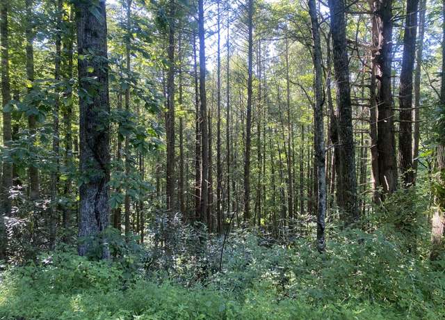 Property at Tbd Cherokee Cir, Erwin, TN 37650