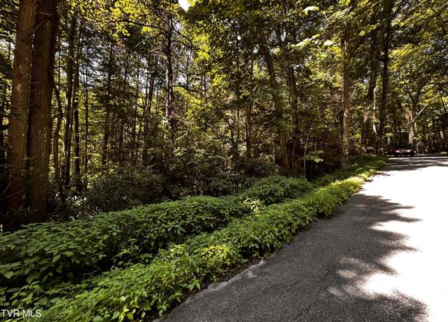 Property at Tbd Viking Mountain Rd, Greeneville, TN 37743