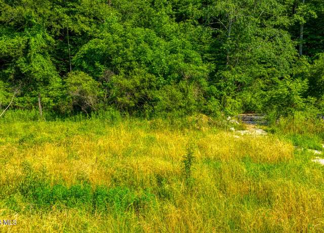 Property at 115 Willis Rd, Rogersville, TN 37857