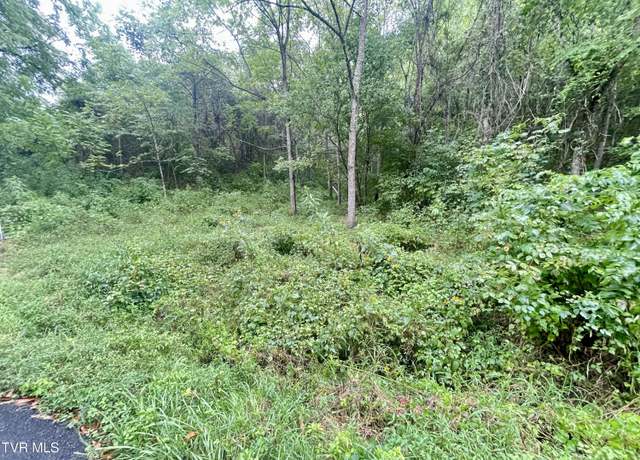 Property at 00 Hoover Rd, Greeneville, TN 37743