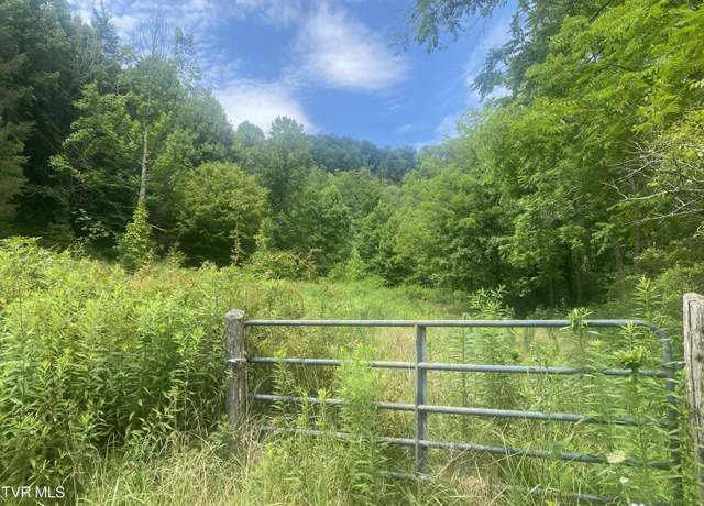 Property at 638 Old Hwy 143, Roan Mountain, TN 37687