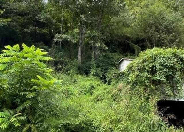 Property at 1080 Fairview Rd, Duffield, VA 24244
