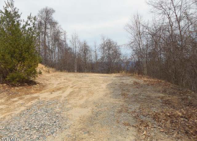 Property at 1012 Locust Lot 40 Ln, Butler, TN 37640