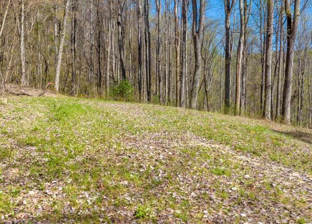 Property at 308 Honeymoon Lot 67 Holw #67, Butler, TN 37640