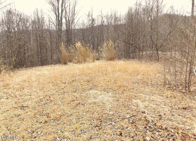 Property at 1213 Mays Ridge Lot 17 Rd, Butler, TN 37640