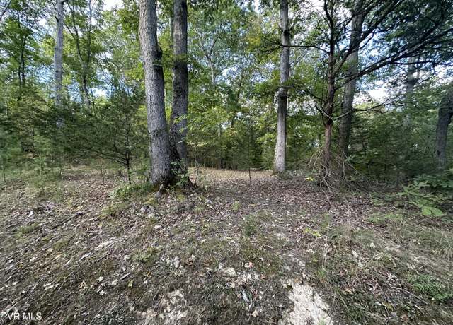Property at 172 Emerald Way, Parrottsville, TN 37843