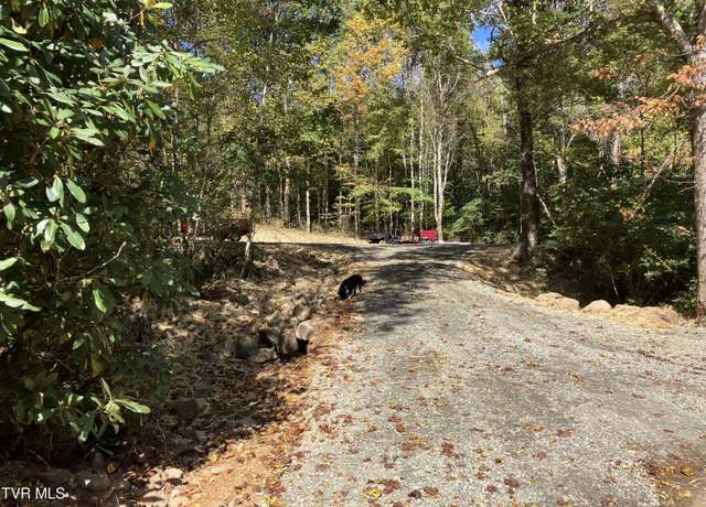 Property at 104ac Tbd Fire Tower Rd, Mountain City, TN 37683