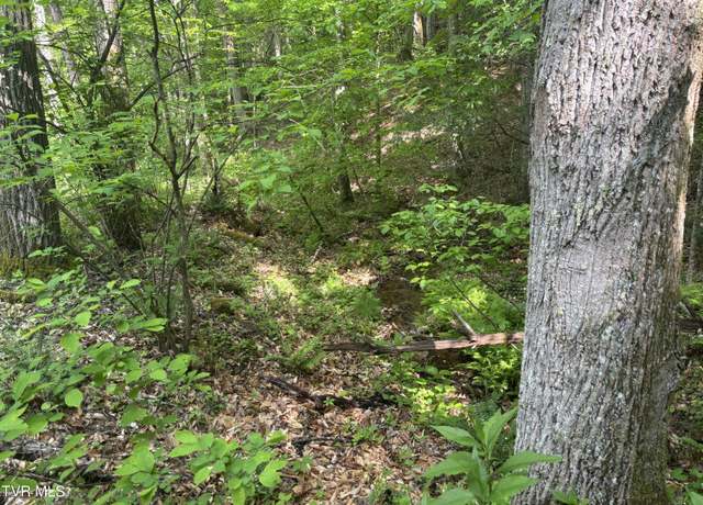 Property at Lot 6b Of Roan Creek Rd, Butler, TN 37640