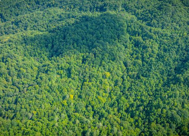 Property at W Of Reece Hill Rd, Hampton, TN 37658
