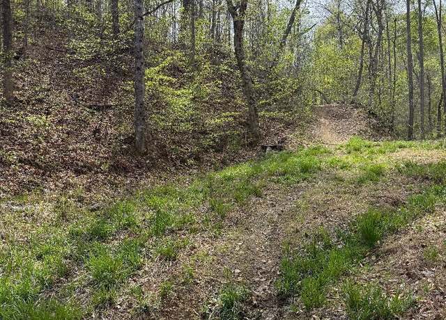 Property at 0 Pine Mountain Rd, Rogersville, TN 37857