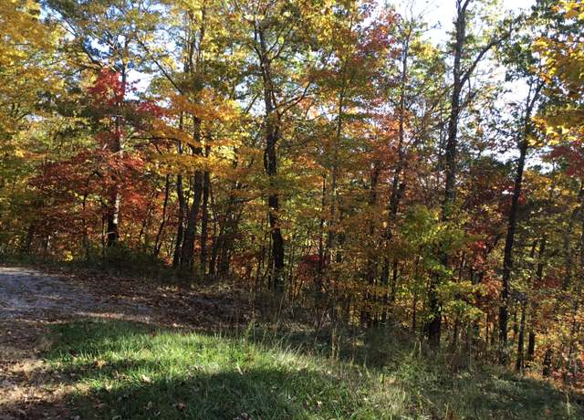 Property at Tbd Hiram Hollow Rd, Wise, VA 24293