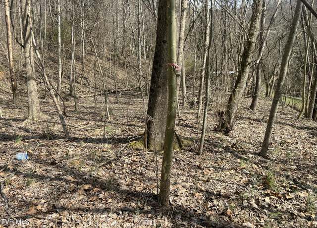 Property at 117 Icy Ln, Elizabethton, TN 37643
