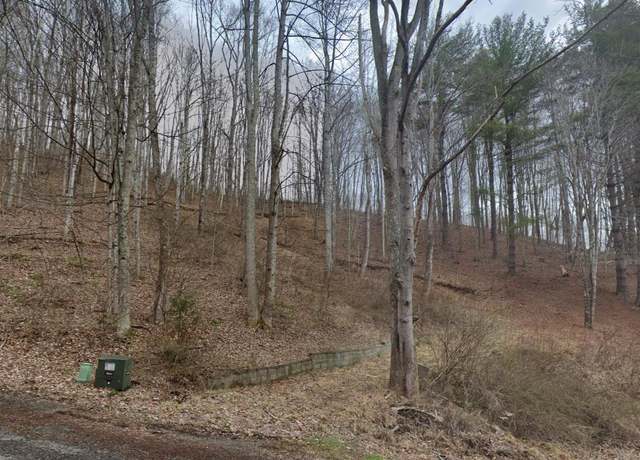 Property at Tbd June Apple Ln, Trade, TN 37691