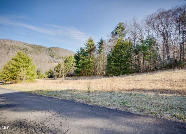 Property at Lots 9-10 Myrtle Dr, Butler, TN 37640