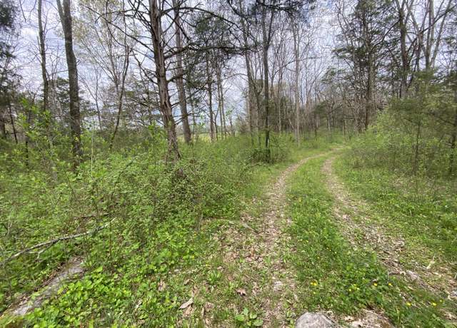 Property at Tbd Melzoni Rd, Pennington Gap, VA 24277