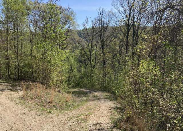 Property at Tbd Tulip Poplar Trail Ext, Butler, TN 37640