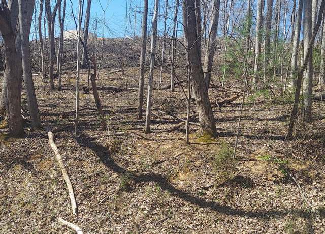 Property at Lot 181 Ox Bow Rd, Unicoi, TN 37692