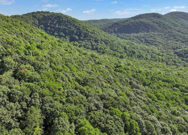 Property at Tbd Nettle Patch, Norton, VA 24273
