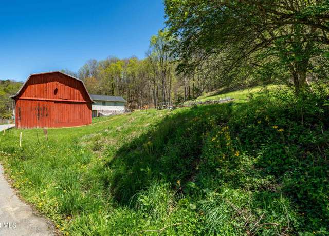 Property at Tbd Hogum Hollow Rd, Roan Mountain, TN 37687
