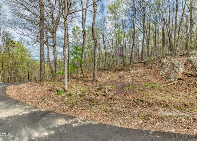 Property at 635 Harbor Springs Rd, Kingsport, TN 37664