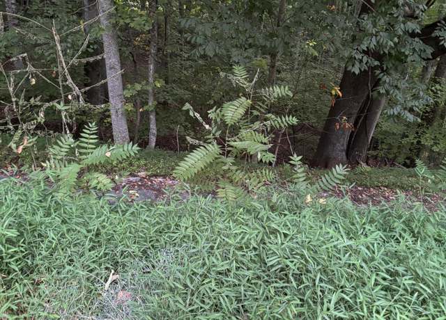 Property at 202 Ox Bow Ave, Unicoi, TN 37692