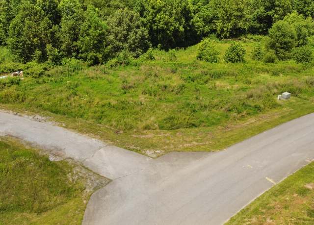 Property at Tbd Creekside Ct Lot 216, Bristol, VA 24202