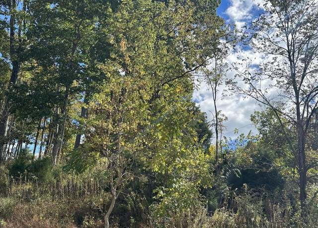 Property at 1509 Becky Dr, Johnson City, TN 37601